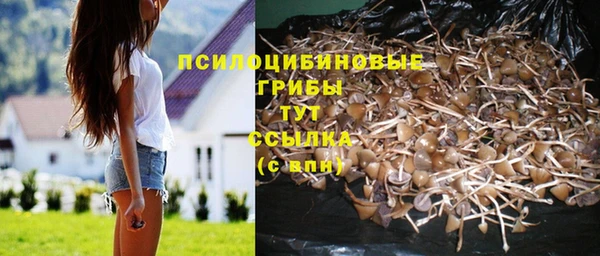 мяу мяу мука Абдулино
