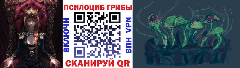 как найти закладки  Болохово  Галлюциногенные грибы GOLDEN TEACHER 